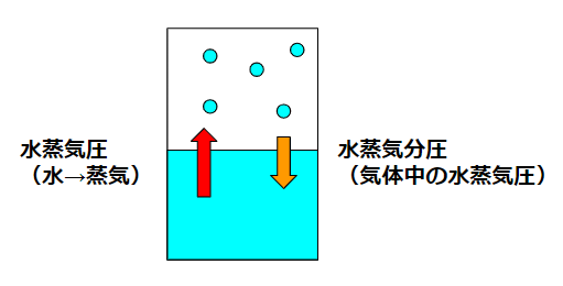 水蒸気圧(humidity)